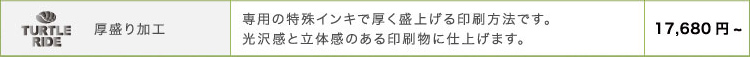 厚盛り加工 専用の特殊インキで厚く盛上げる印刷方法です。光沢感と立体感のある印刷物に仕上げます。17,680円~