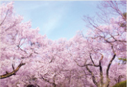 風景イメージ