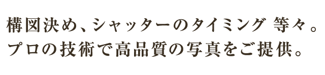 構図決め、シャッターのタイミング 等々。プロの技術で高品質の写真をご提供。