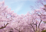 風景イメージ
